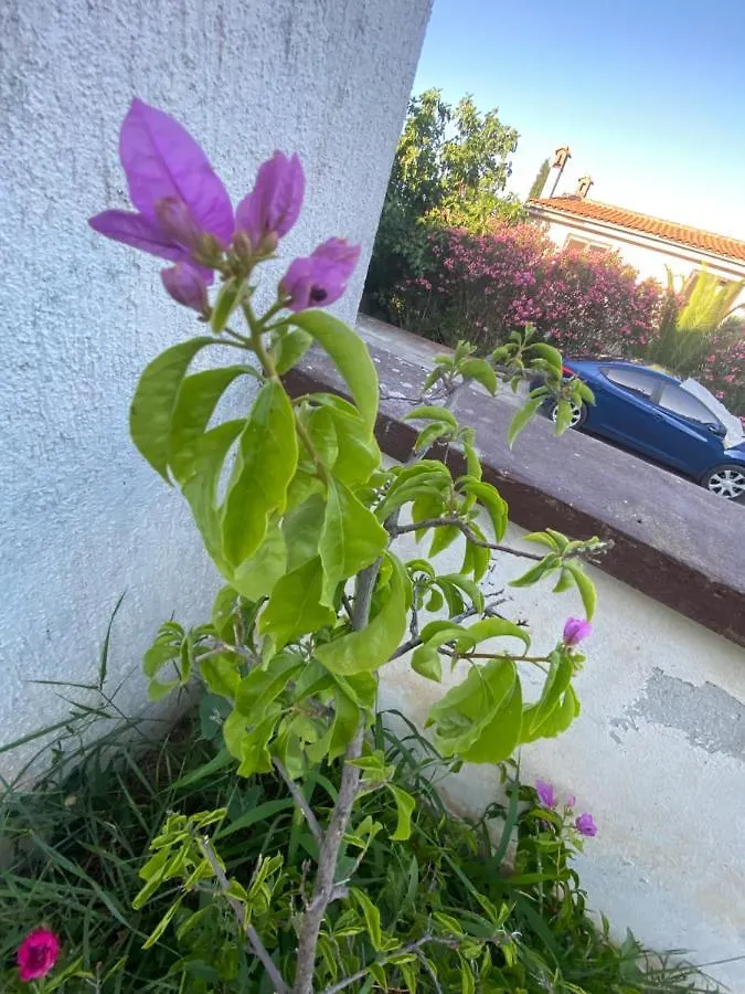 Apartment Cukon Holiday Home Premantura